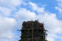 Osterfeuer25-17.2